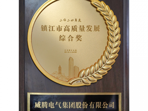 喜讯│今年会荣获2024年度镇江市高质量生长综合奖